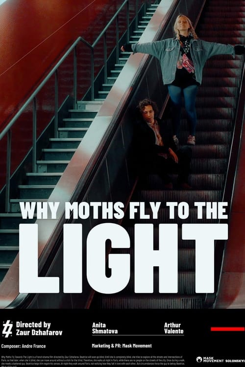 why moths fly to the light