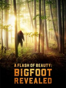 a flash of beauty bigfoot revealed