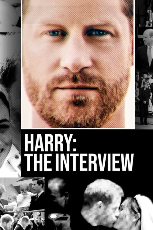harry the interview