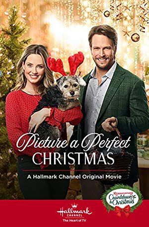 Picture a Perfect Christmas poster