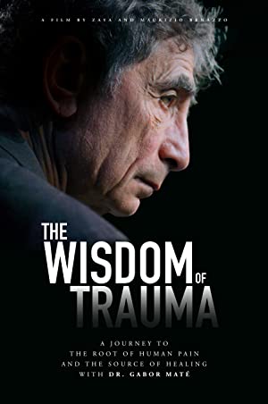 The Wisdom of Trauma poster