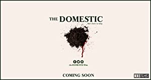The Domestic poster