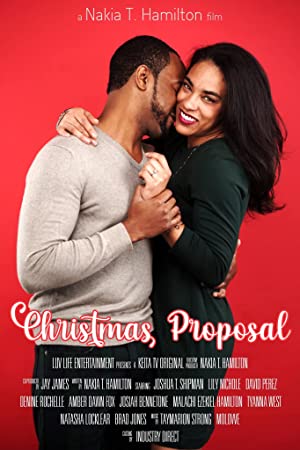 Christmas proposal poster